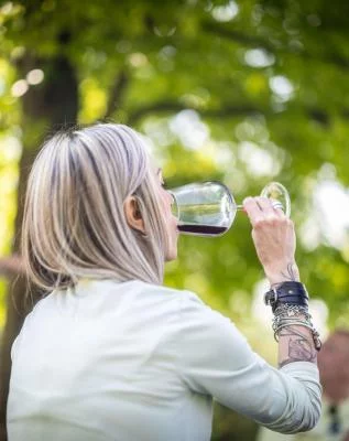 Thumbnail Picnic en los viñedos y cata de vinos en Coali, en Valpolicella Classica