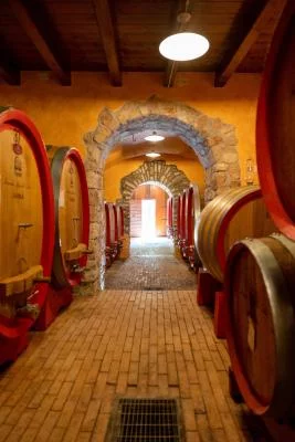 Thumbnail Picnic tra i vigneti e degustazione di vino da Coali nella Valpolicella Classica