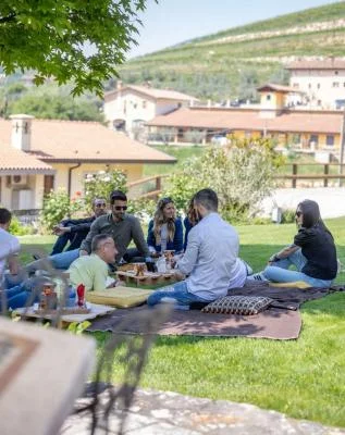 Thumbnail Picnic en los viñedos y cata de vinos en Coali, en Valpolicella Classica