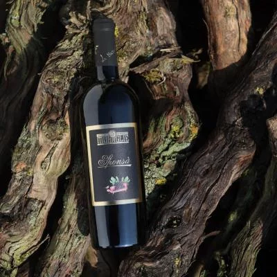 Thumbnail The Winemaker's Selection: Guided Tour and Wine Tasting at Le Muraglie near Lake Garda