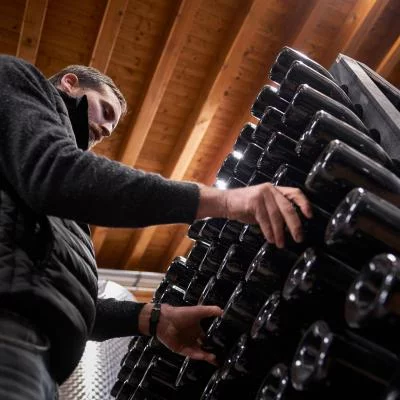 Thumbnail Sparkling Wine Tasting with Local Food at Le Muraglie near Lake Garda