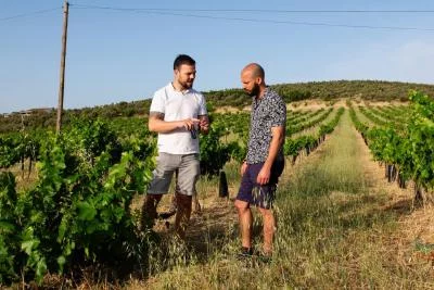 Thumbnail Wine Tour e degustazione dell'olio d'oliva biologico con tapas da Malaga