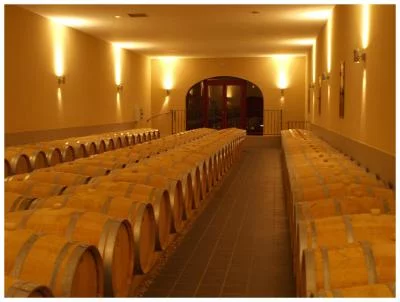 Thumbnail Cata de vinos gourmet en el Château Pichon Bellevue, en Vayres