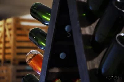 Thumbnail Tour e degustazione di champagne da Adrien Simon a Pouillon, vicino a Reims