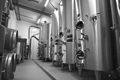 Thumbnail Visite et dégustation de champagne chez Adrien Simon à Pouillon, près de Reims