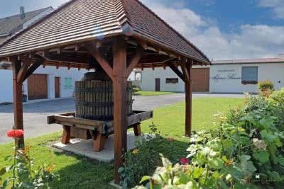 Thumbnail Champagne Tour and Tasting at Adrien Simon in Pouillon near Reims