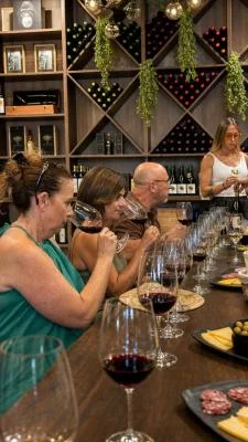 Thumbnail 5 vinos andaluces y tapas locales en la Vinoteca Malaleche Narbona Solís de Málaga