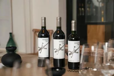 Thumbnail Vertical Lien Tasting & Estate Walk at Viña Maquis in Palmilla