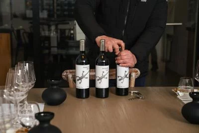 Thumbnail Dégustation de vins de différents millésimes et balade dans le domaine à la Viña Maquis, à Palmilla