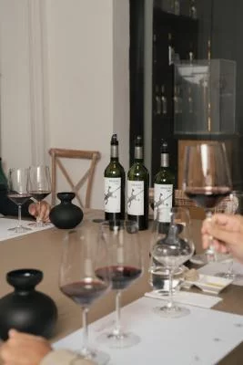 Thumbnail Cata de vinos de la gama «Lien» y recorrido por la finca en Viña Maquis, en Palmilla