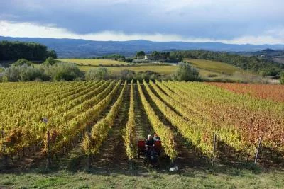 Thumbnail Von den Besitzern geleitete Weinprobe mit umbrischen Spezialitäten in der Cantina Peppucci in Todi