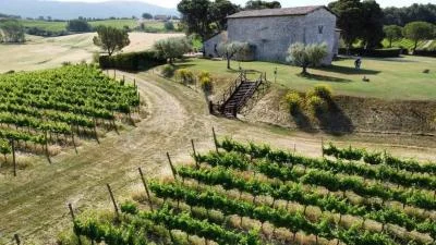 Thumbnail Owner-Led Wine Tasting with Umbrian Foods at Cantina Peppucci in Todi