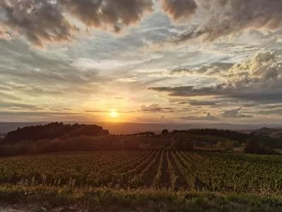 Thumbnail Dégustation de vins animée par le propriétaire, accompagnée de spécialités ombriennes, à la Cantina Peppucci à Todi