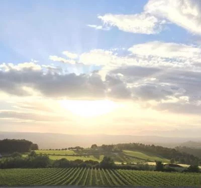 Thumbnail Cata de vinos guiada por el propietario con productos de Umbría en la Cantina Peppucci de Todi