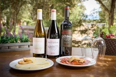 Thumbnail Grande degustazione di 6 vini della Ribera del Duero al Bosque de Matasnos