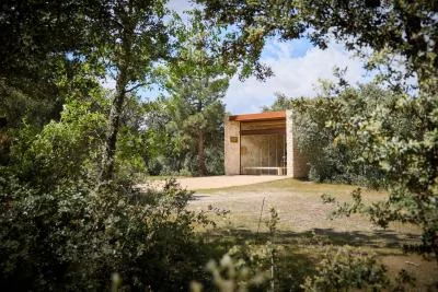Thumbnail Dégustation de 6 vins et de fruits de mer gastronomiques au Bosque de Matasnos, dans la Ribera del Duero