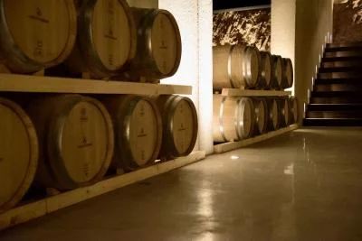 Thumbnail Pastures & Vineyards Tour and Wine Tasting with Sardinian Delicacies at Tenute Olbios