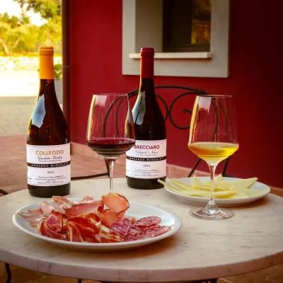 Thumbnail Umbrian Identity Wine Tasting at Bussoletti in San Gemini