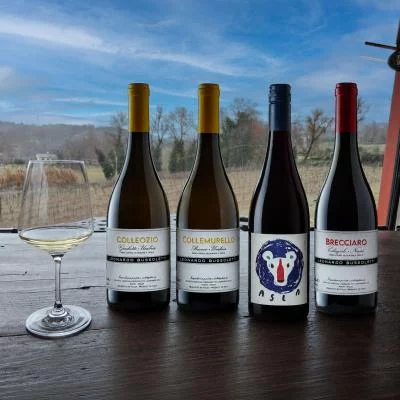 Thumbnail Umbrian Identity Wine Tasting at Bussoletti in San Gemini