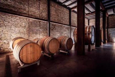 Thumbnail Terroir & Cuisine: Wine Tasting and 7-Course Food Pairing at Cantina Bussoletti