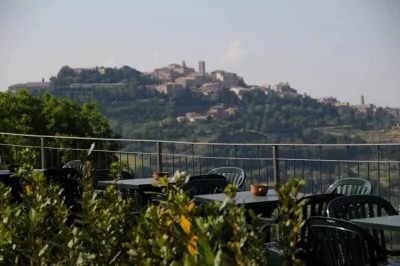 Thumbnail Wine Tasting Experience at Ercolani winery