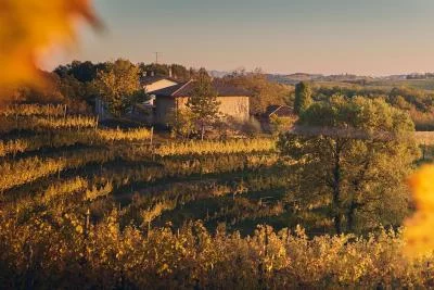 Thumbnail Degustazione di vini da vitigni autoctoni presso Ferruccio Sgubin a Dolegna del Collio