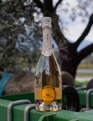 Thumbnail Vertical Franciacorta Tasting with Local Pairings at Il Dosso in Corte Franca