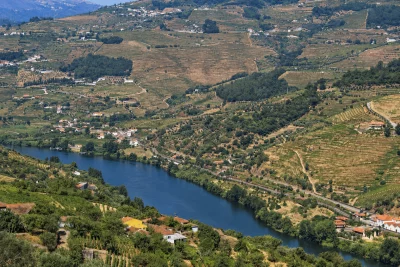 Thumbnail Premium Douro Wine & Port Tasting and Winery Tour at Alma Soalheira