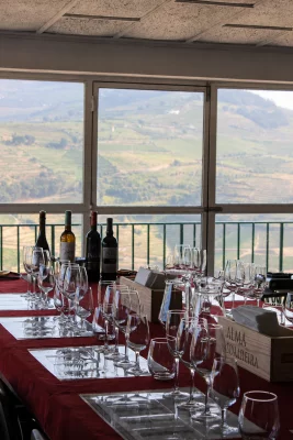 Thumbnail Dégustation de vins haut de gamme du Douro et de porto, et visite de la cave d'Alma Soalheira