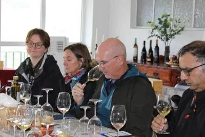 Thumbnail Premium Douro Wine & Port Tasting and Winery Tour at Alma Soalheira