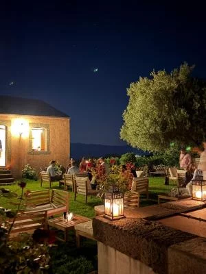 Thumbnail Cata de vinos al atardecer y cena en los viñedos de Terrazze dell'Etna, en Randazzo