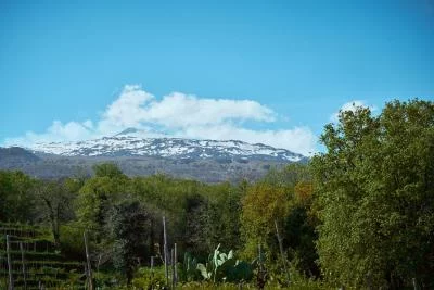 Thumbnail Degustazione e cena tra i vigneti al tramonto alle Terrazze dell'Etna a Randazzo