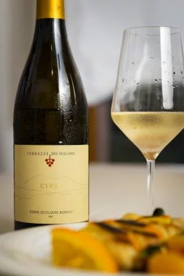 Thumbnail Degustazione e cena tra i vigneti al tramonto alle Terrazze dell'Etna a Randazzo