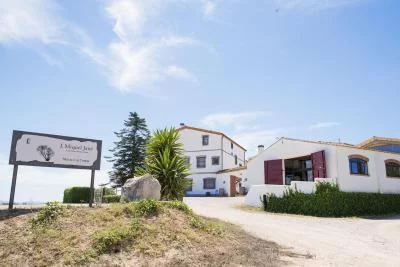 Thumbnail Organic Wine Tasting Course and Lunch at Bodega Miquel Jané in Penedès