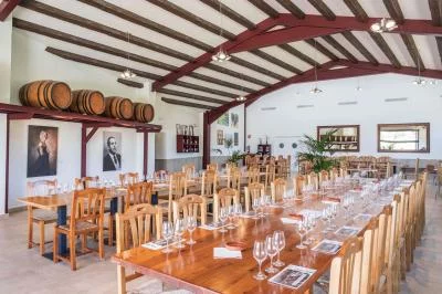 Thumbnail Organic Wine Tasting Course and Lunch at Bodega Miquel Jané in Penedès
