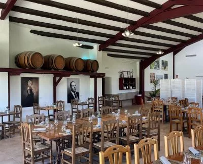 Thumbnail Cours de dégustation de vins bio et déjeuner à la Bodega Miquel Jané, dans le Penedès