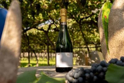 Thumbnail Metodo Classico Tasting and Vineyard Tour at Devigili in Mezzolombardo