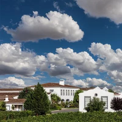 Thumbnail From Pasture to Glass: Wine & Cheese Pairing at João Portugal Ramos in Alentejo