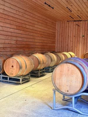 Thumbnail The Time: Vertical Teroldego Tasting & Tour at Devigili in Mezzolombardo