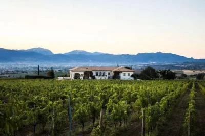 Thumbnail Découvre Montefalco : visite de la cave et dégustation de vins chez Lungarotti à Montefalco