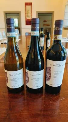 Thumbnail Discover Montefalco: Cellar Tour and Wine Tasting at Lungarotti in Montefalco