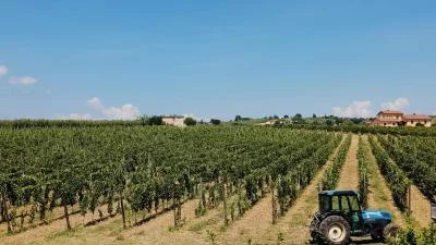 Thumbnail Visite de la cave et dégustation de vins ombriens chez Lungarotti à Montefalco