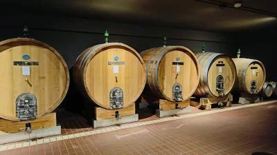 Thumbnail Visita alla cantina e degustazione di 3 vini umbri da Lungarotti a Montefalco