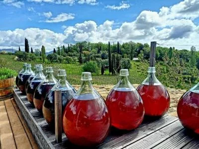 Thumbnail Private French Riviera Wine Tour of Bellet & Saint Paul de Vence from Nice
