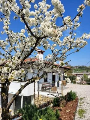 Thumbnail Degustazione di vino guidata con abbinamenti gastronomici da Valleris a San Floriano del Collio