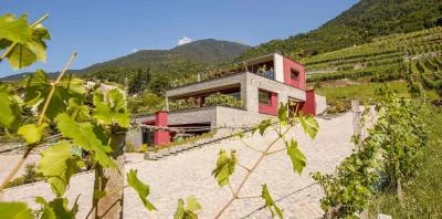 Thumbnail Escapada «Essence»: 1 noche en la bodega Menegola, cerca de Sondrio