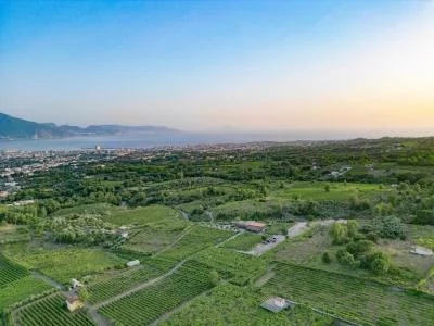 Thumbnail „Essence“-Kurzurlaub: 1 Nacht im „Sorrentino Vini“ in Neapel