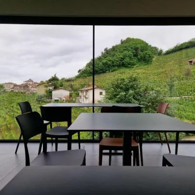 Thumbnail „Riserva“ – Ganztägige Tour durch das Prosecco-Gebiet Valdobbiadene ab Treviso oder Venedig