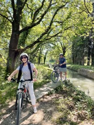 Thumbnail E-Bike Tour with Wine Tasting and Farm Visit in Saint-Rémy de Provence