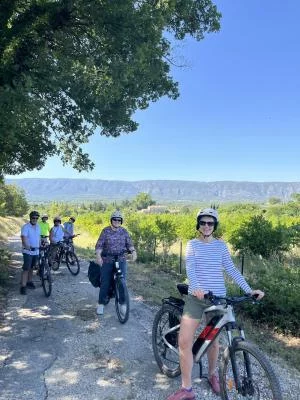 Thumbnail Half-Day E-bike Tour of the Luberon with Wine & Olive Oil Tasting